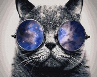 Kot w okularach malowanie