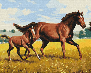 Rodzinny galop