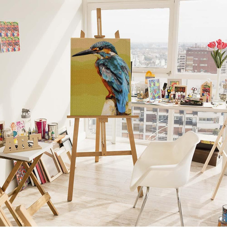 Zimorodek - król rybaków