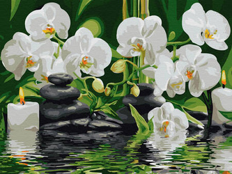 Haft Diamentowy Bez Ramy Storczyki w wodzie 30x40 Mozaika Diamentowa 5D