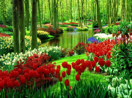 Czerwone tulipany 40x30cm Diamond Painting Mozaika