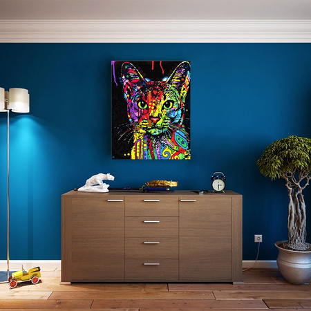 Kolorowy Kot 50x65cm