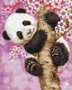 Słodka Panda