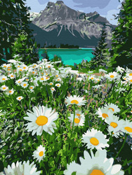 Haft Diamentowy Bez Ramy Kwiaty Górskie Rumiankowy Krajobraz 30x40 Mozaika Diamentowa 5D