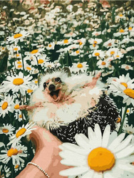 Haft Diamentowy Bez Ramy Jeż w stokrotkach 30x40 Mozaika Diamentowa 5D