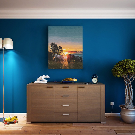 Koniec dnia w promieniach słońca