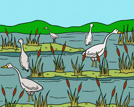 Czaple w trzcinowisku