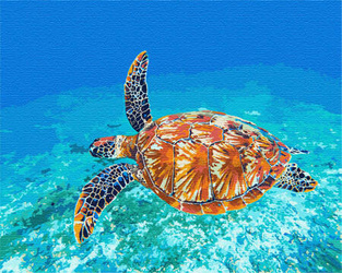 Żółw w oceanie