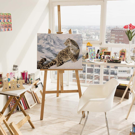 Pantera Śnieżna - Irbis