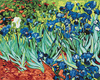 Irysy. Van Gogh Malowanie Po Numerach