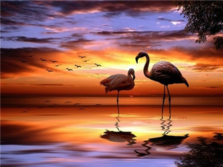 Para flamingów 30x40cm