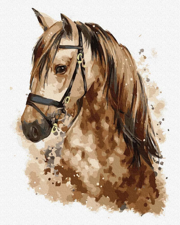 Piękny koń 40x50