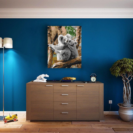 Rodzina Koali Malowanie Po Numerach