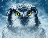 Sowa w zimowej zadymce