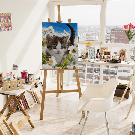 Kotek w polu rumianków