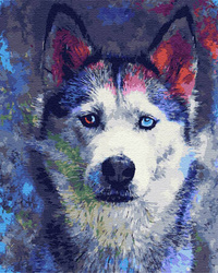 Spojrzenie kolorowych oczu 40x50