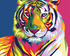 Tiger Pop Art