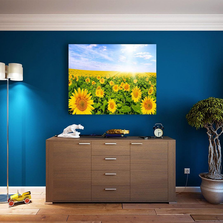 Słoneczniki w polu 20x30cm