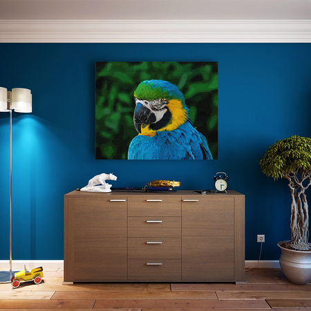 Tropikalny Stróż Ciszy Papuga