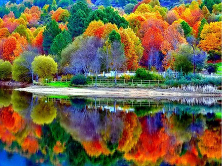 Piękna Jesień 40x30cm Diamond Painting Mozaika