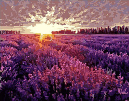 Zachód słońca nad polem lawendy 50x65