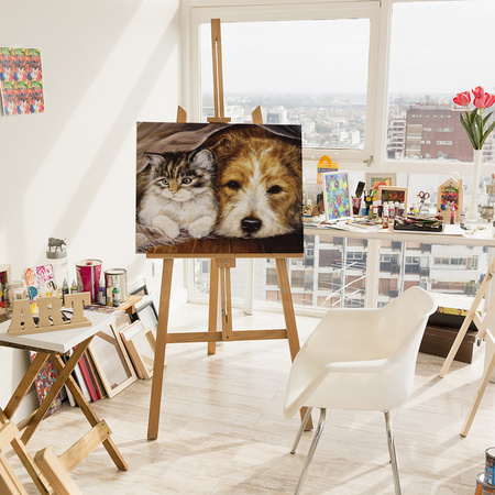 Sekretne schronienie przyjaźni