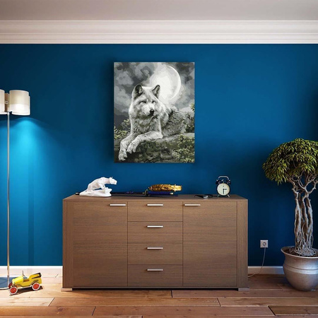 Nocny myśliwy 40x50