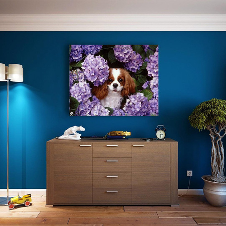 Pies W Krzewie Hortensji