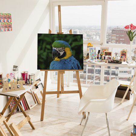 Tropikalny Stróż Ciszy Papuga