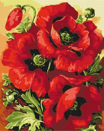 Czerwone Maki Malowanie Po Numerach