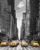 New York Taxi