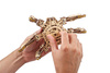 Hexapod Odkrywca Puzzle 3d Drewniany Model Do Składania