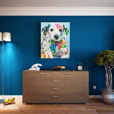 Dalmatyńczyk w farbie