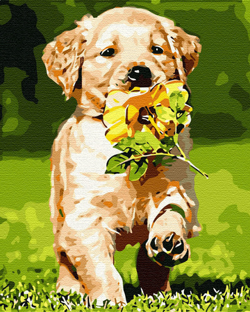 Szczeniak z kwiatkiem