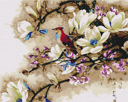 Śpiewający Ptak Egzotyczny Malowanie Po Numerach