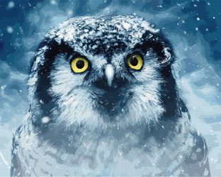 Sowa w zimowej zadymce