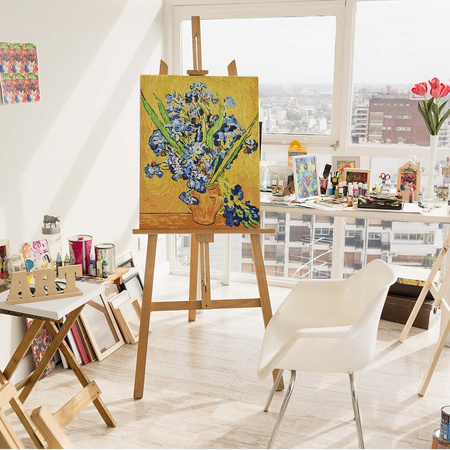 Vincent van Gogh, Irysy