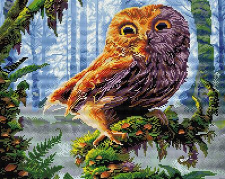 5D Mądra sowa Diamond Painting Mozaika 40x50 cm