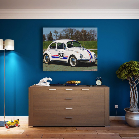 Biały garbus z numerem 53