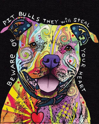 Piesek Pitbull