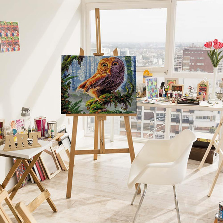 5D Mądra sowa Diamond Painting Mozaika 40x50 cm