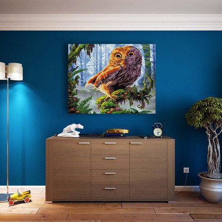 5D Mądra sowa Diamond Painting Mozaika 40x50 cm