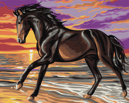 Koń Bucefal w biegu