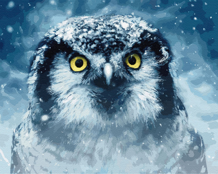 Sowa w zimowej zadymce