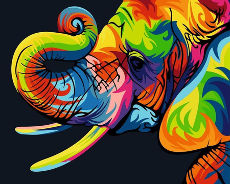 Kolorowy Słoń Proste