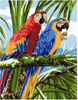 Kolorowe papugi