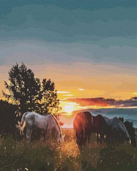 Koniec dnia w promieniach słońca