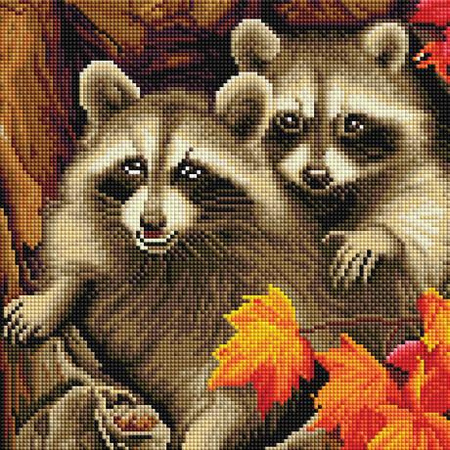 5D Urocze szopy pracze Diamond Painting Mozaika 30x30 cm