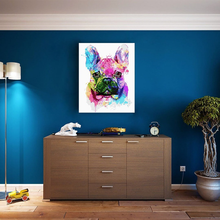 Kolorowy Pies Proste