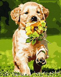 Szczeniak z kwiatkiem